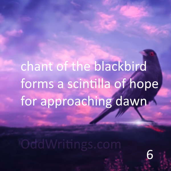 blackbird with violet sky